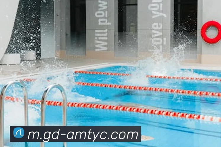 太阳城娱乐APP 体育赛事宣传图